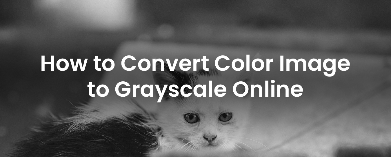 How To Convert Color Image To Grayscale